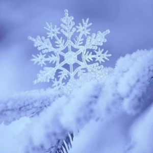 亚洲日韩少妇BB
